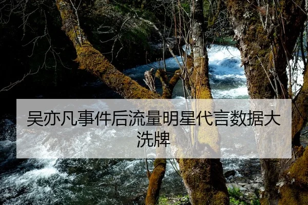 吴亦凡事件后流量明星代言数据大洗牌